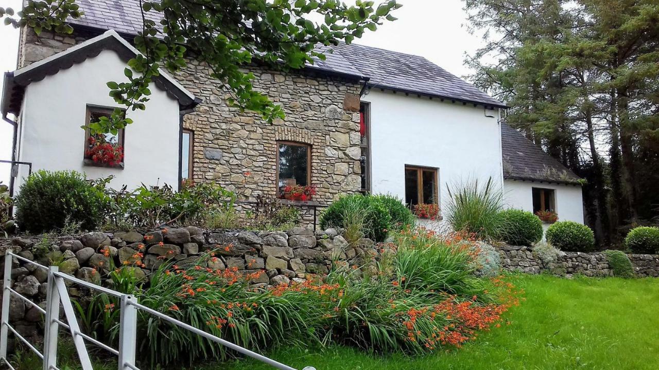 The Village Studio Apartments Moate Zewnętrze zdjęcie