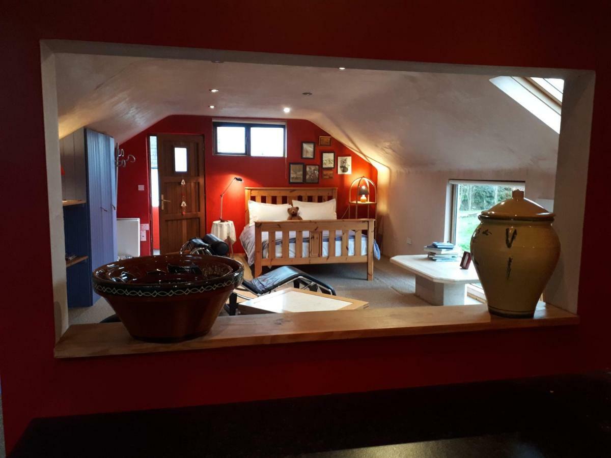 The Village Studio Apartments Moate Zewnętrze zdjęcie