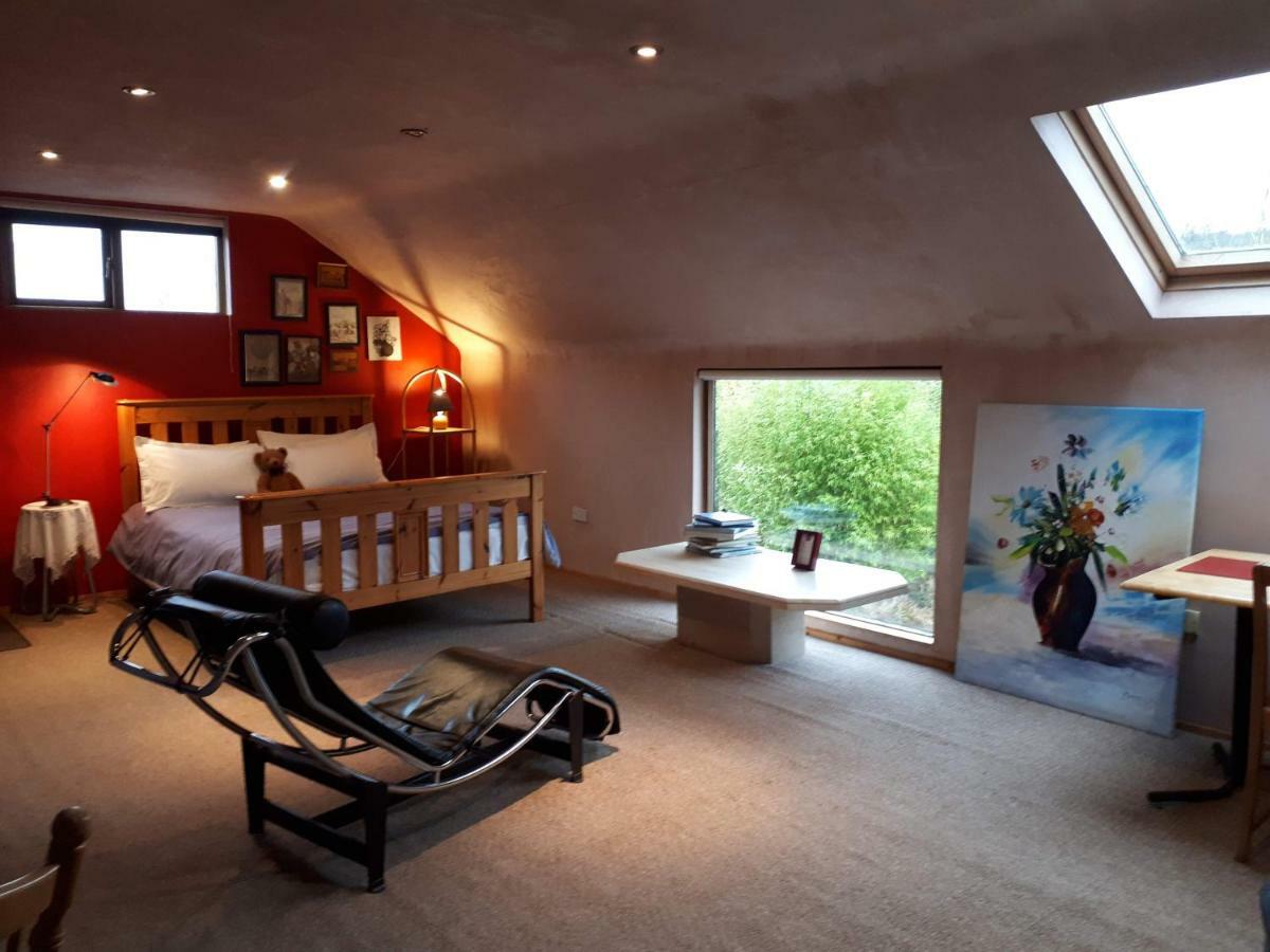 The Village Studio Apartments Moate Zewnętrze zdjęcie