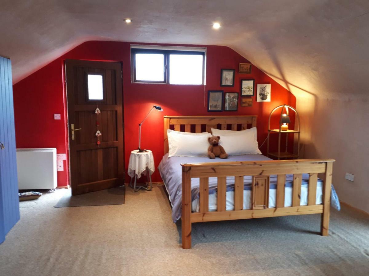 The Village Studio Apartments Moate Zewnętrze zdjęcie